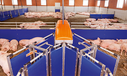 Nursery/Finishing Equipment | Pig Feeding | Big Dutchman | USA